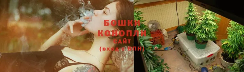 blacksprut tor  Дмитровск  Бошки марихуана White Widow 